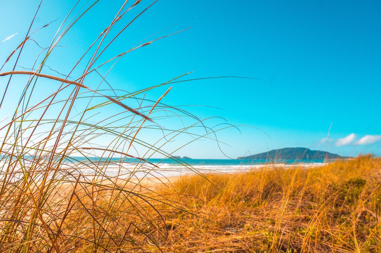 Apto Na Praia Do Ingleses Florianopolis Exterior photo